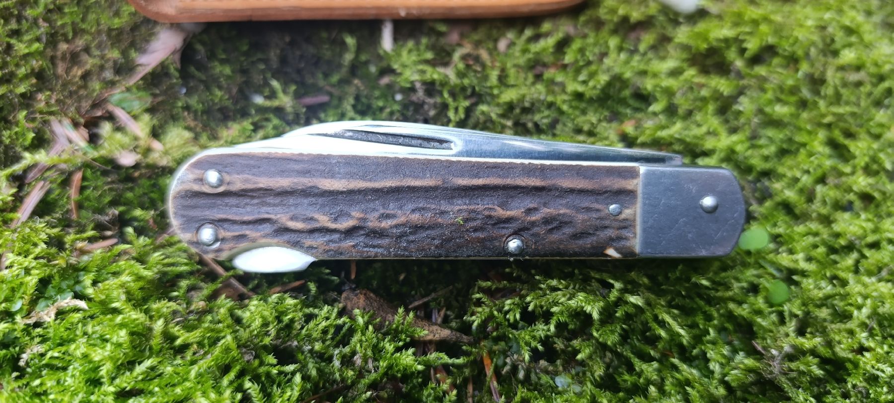 Coltelli tascabile: Jagtmesser Taschenmesser  – Usato da Oppligen venduto da can_rf8g 6
