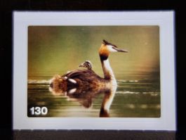 MIGROS MANIA Nature Detectives Nr. 130