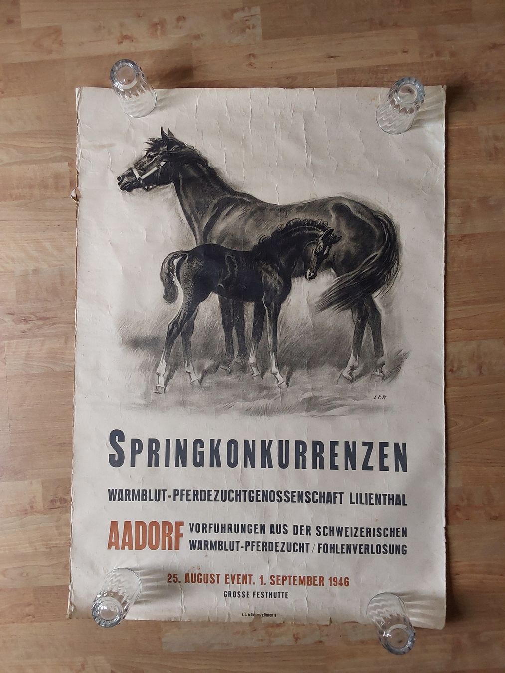 Grafica & Litografie: Hugentobler Iwan 69x100cm. Plakat  – Usato da Steinach venduto da Chilli1957 4