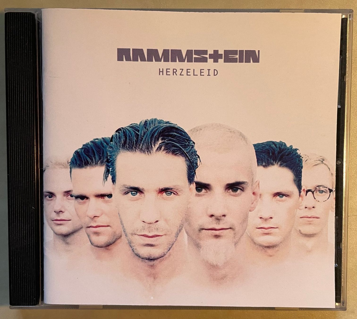 CD: Rammstein - Herzeleid (alternatives Cover) – Usato da Brunnen venduto da Barfly5 1