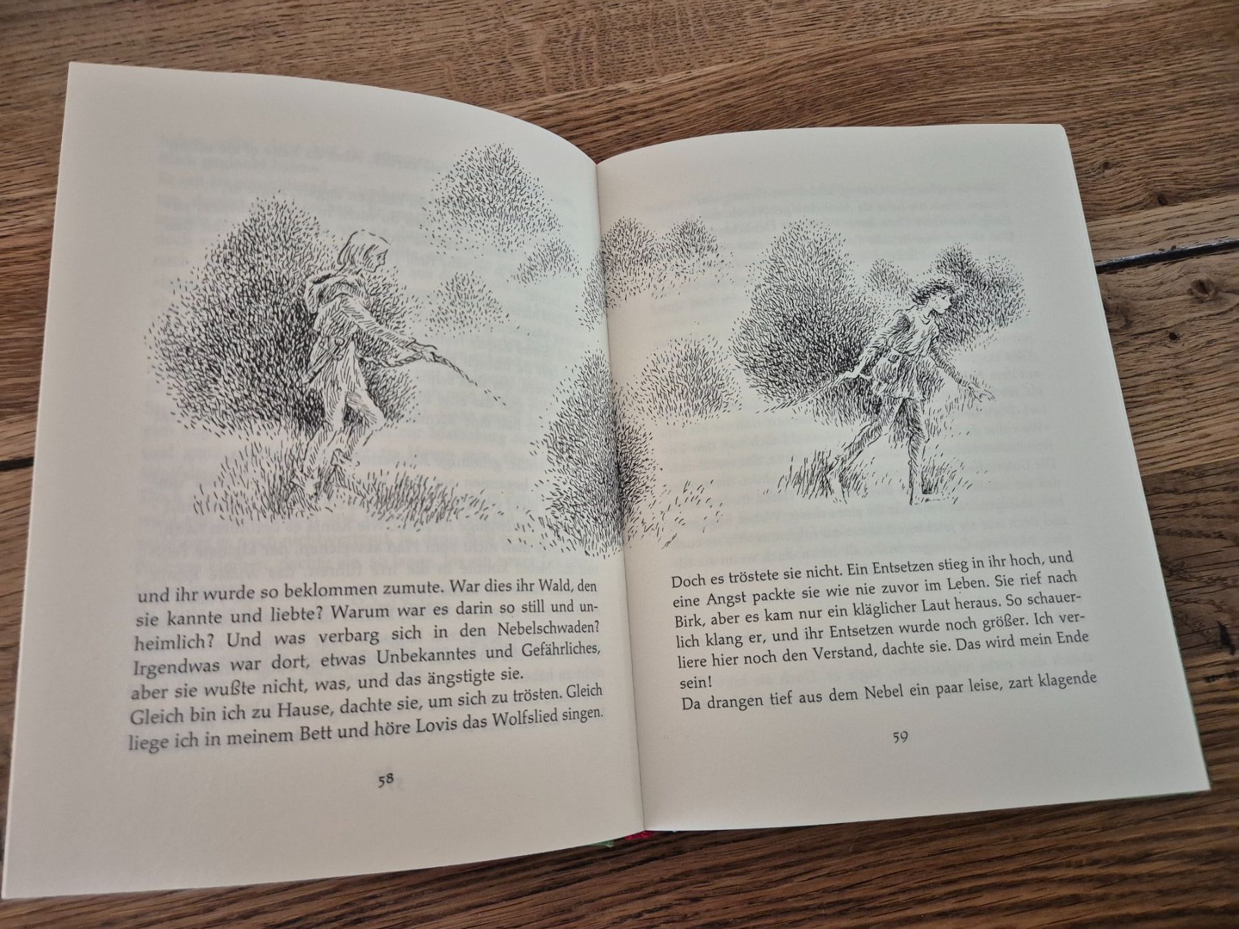 Libri: Ronja Räubertochter, Astrid Lindgren – Usato da Oberdiessbach venduto da Finland1977 3