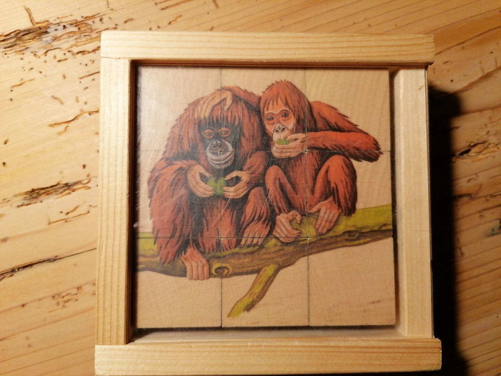 Giocattoli: Klötzli Puzzle Tiere – Usato da Kaltacker venduto da Ddudi