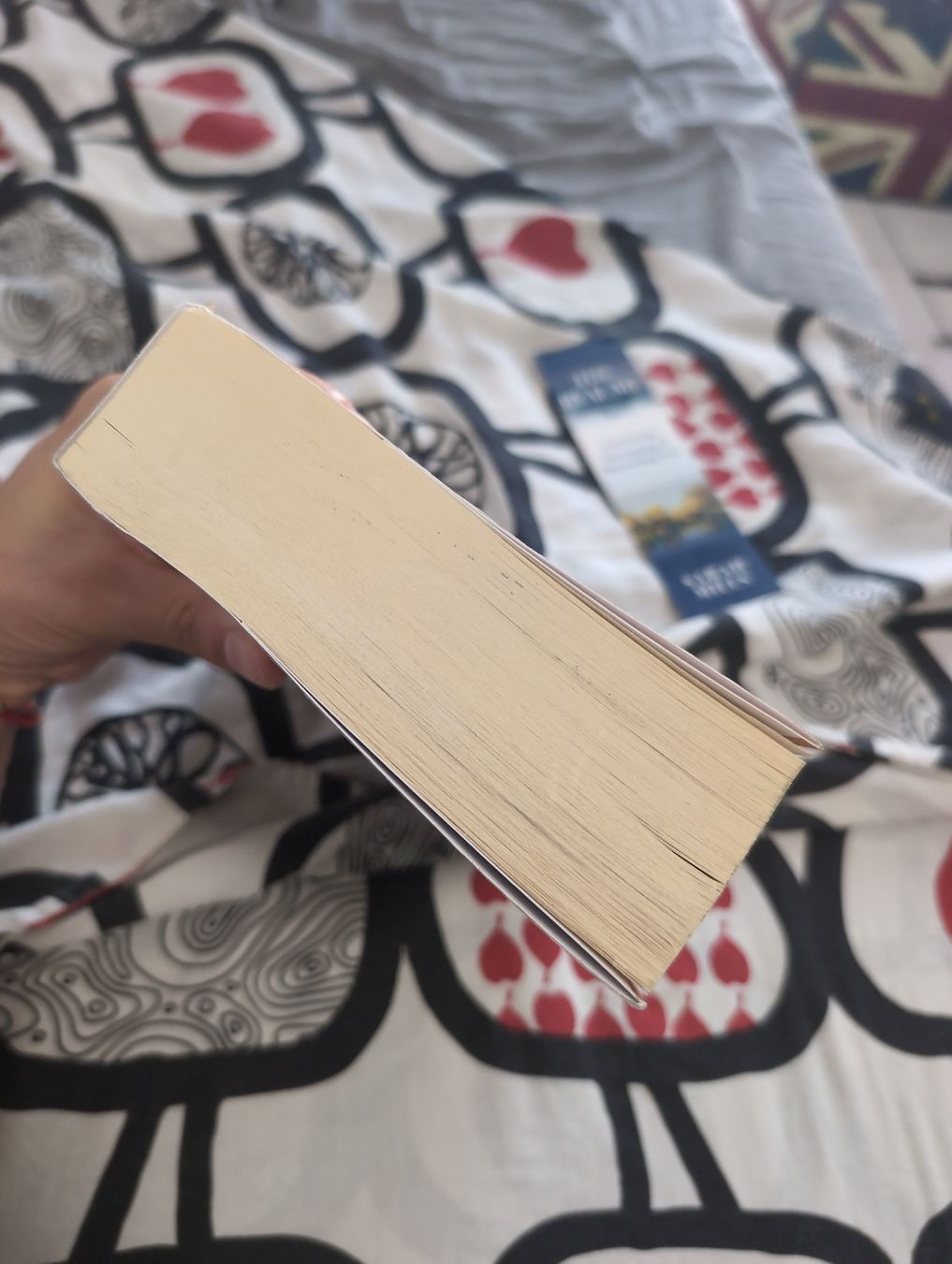 Libri: Libro gianluca gotto in italiano – Usato da S. Pietro venduto da van_2826 3