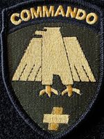 Abzeichen Selten Commando Patche mit Klett Armee Neu
