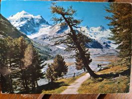 Ansichtskarte Rosegtal