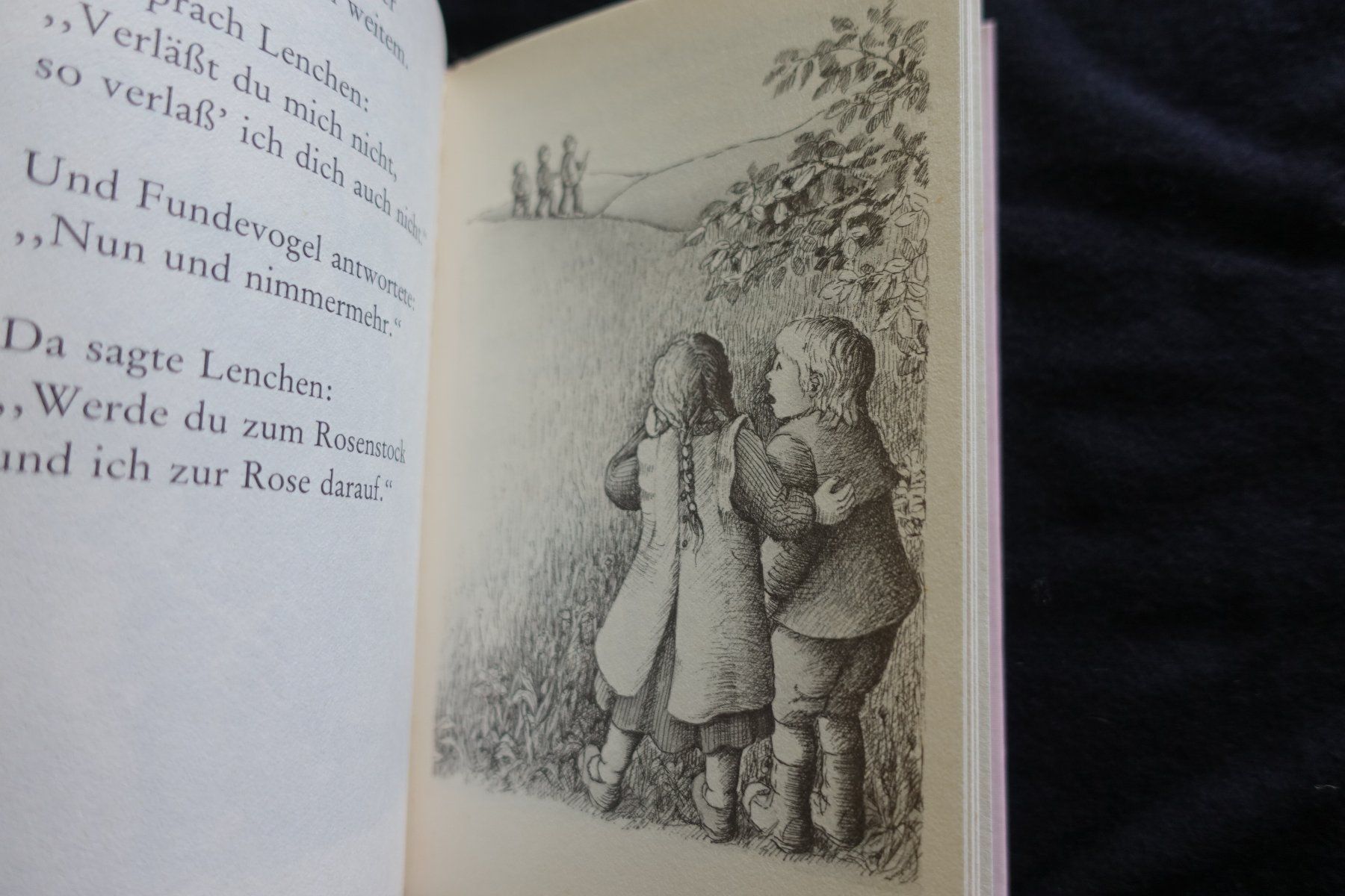 Libri: Fundevogel. Brüder Grimm, Diesterweg, 1982 – Usato da Gutenswil venduto da Optico 3