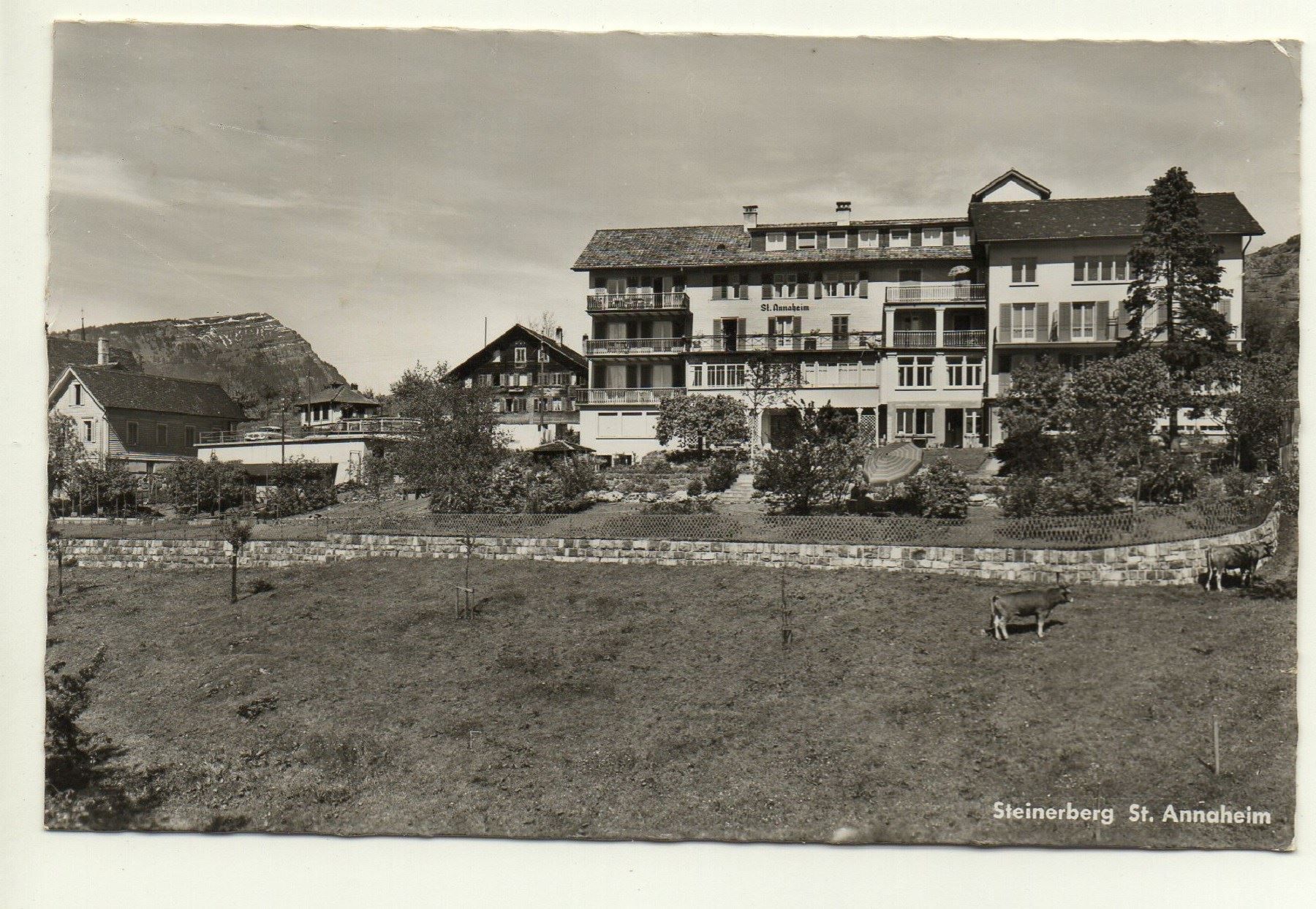 Cartoline postali: STEINERBERG St. Annaheim - Kühe – Usato da Jona venduto da philajona