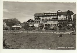 STEINERBERG St. Annaheim - Kühe