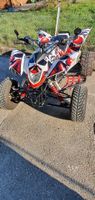 Smc 500 rr Quad mit Clown-Design weiss/rot guter Zustand