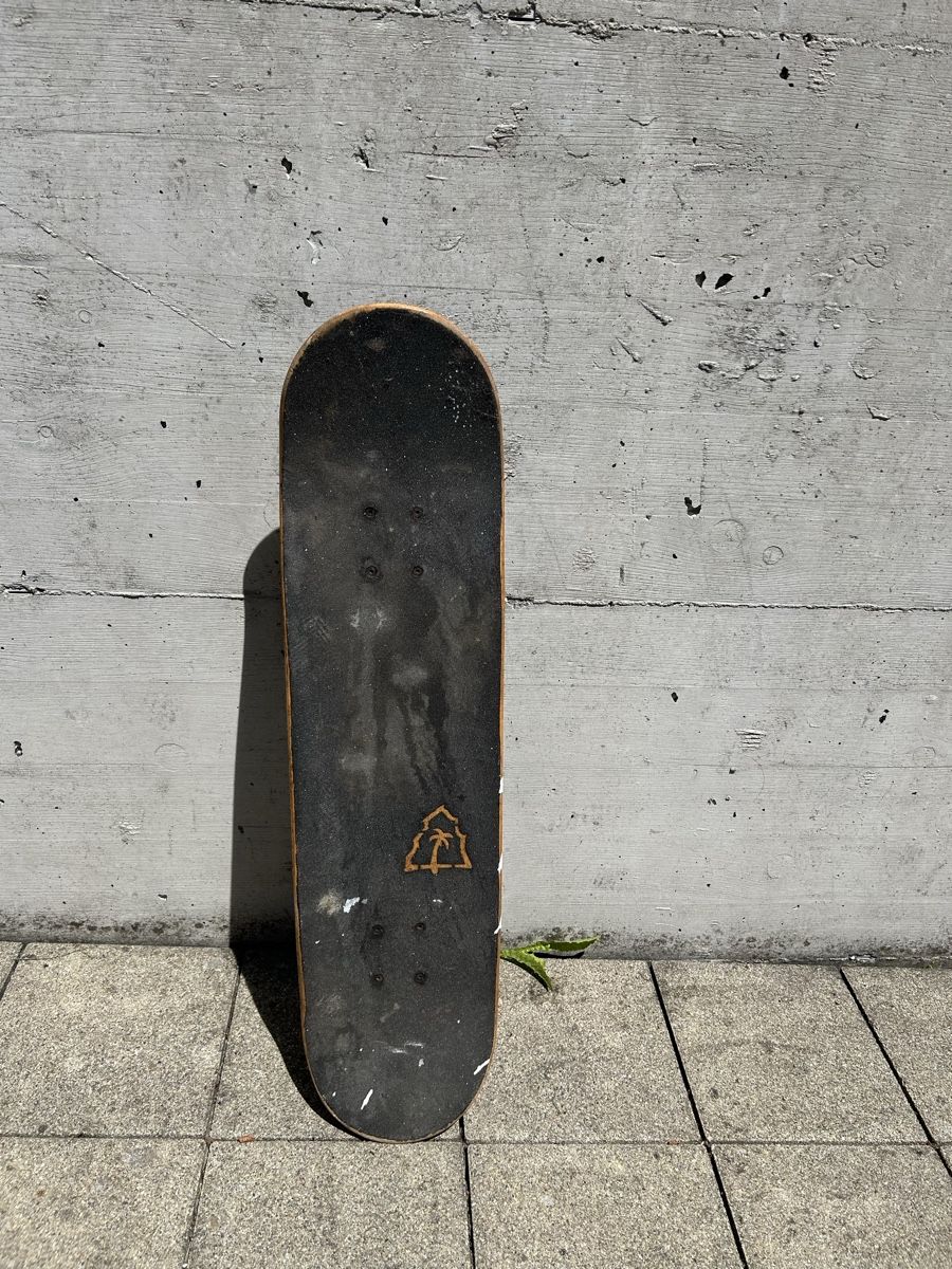 Skateboards: Beach Mountain Skateboard – Gebraucht aus St. Gallen von Falcone