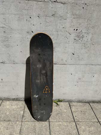 Beach Mountain Skateboard