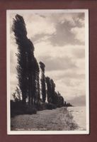 MORGES - La Grève