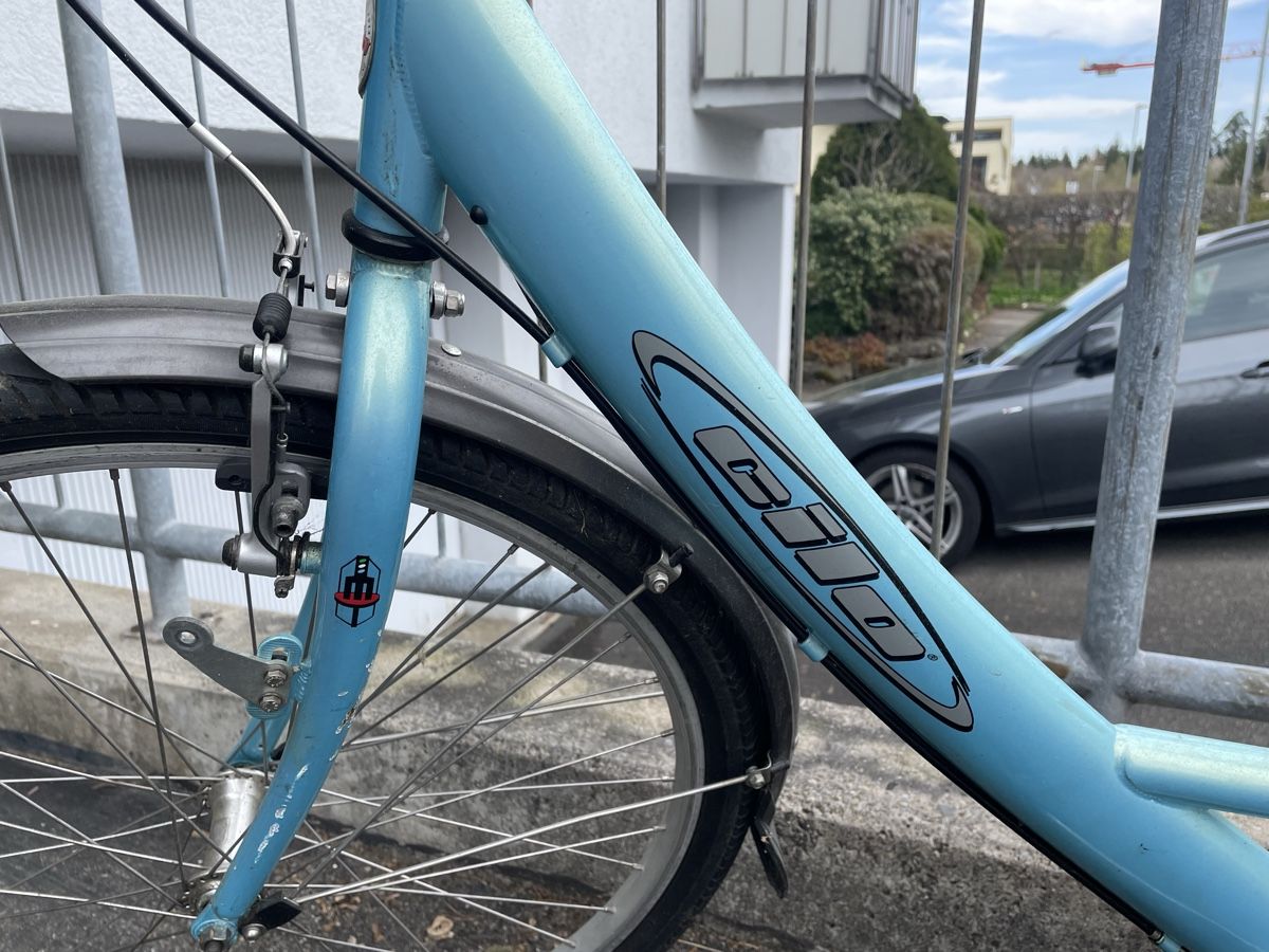 Cilo Biciclette: damenvelo – Usato da Zürich venduto da Martina111 1