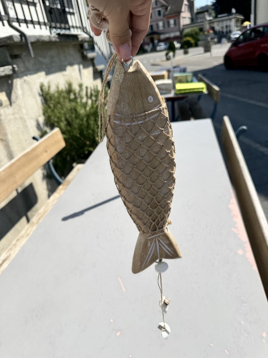 Tutte le decorazioni: Dekofisch Holz mit Netz und Muscheln – Usato da Wangen SZ venduto da ang_vcw8