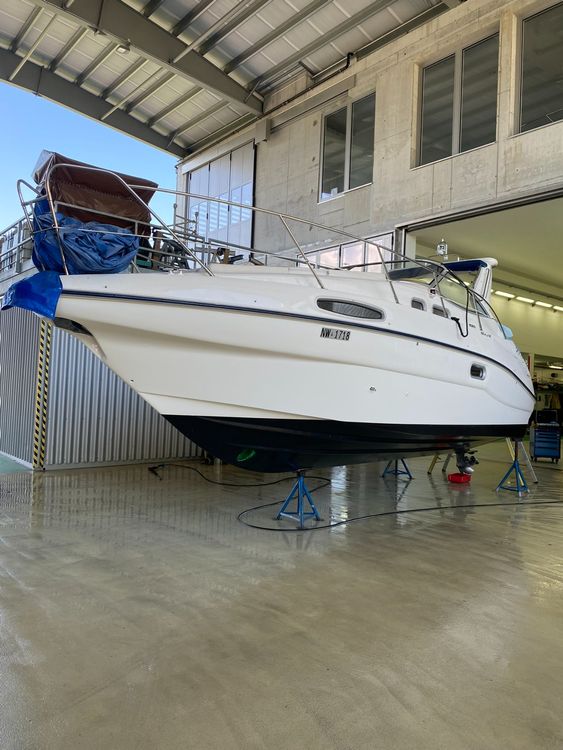 Motorboot Sealine Top Zustand & voll ausgerüstet 7