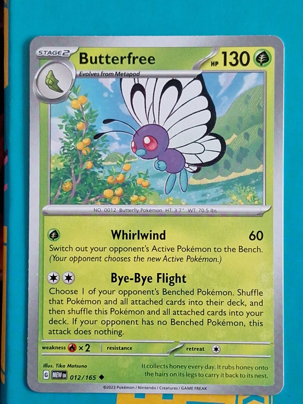 Pokémon Carte collezionabili: Butterfree - Pokemon Mew 151 Englisch – Usato da Altstätten SG venduto da GGsGameshop
