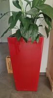 Roter Pflanzentopf hochglanz, modern, 75cm Höhe