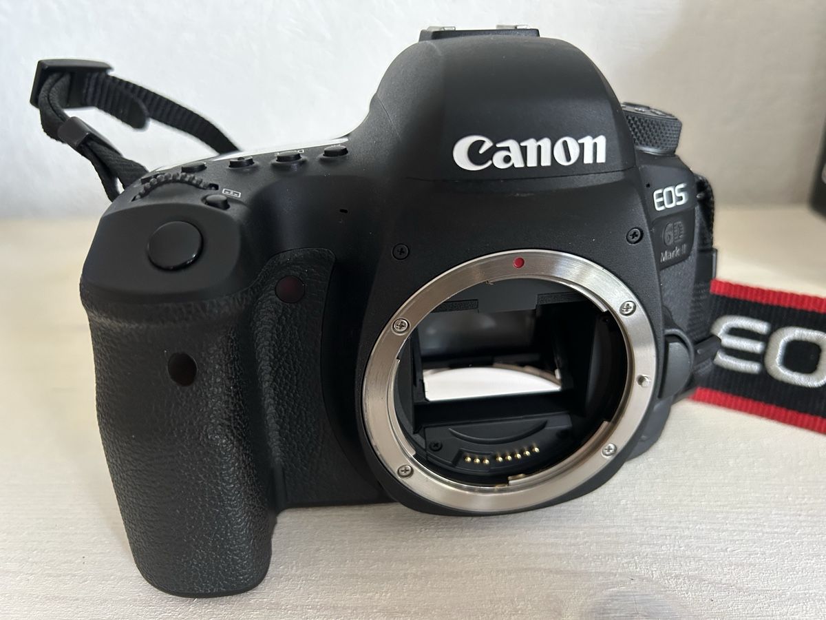 Canon Appareil photo: Canon EOS 6D Mark II - Boîtier nu + flash Speedlite 430EX – D'occasion à Courtételle par djbuffalo 1