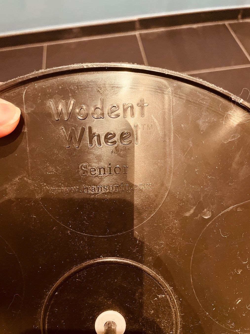 Nourriture: Wodent Wheel Senior – D'occasion à Dänikon ZH par snowfish26 2