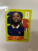 Panini WM 2026 Mexiko Sticker - Original FRA11