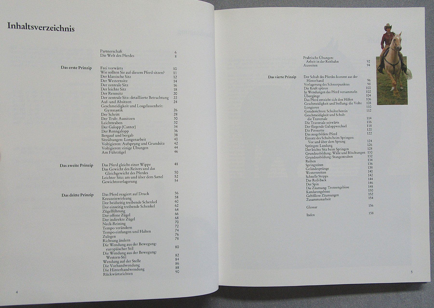 Libri: Reiten - perfekt gelernt - moderne Reitlehre – Usato da Auenstein venduto da Padabimbim 2