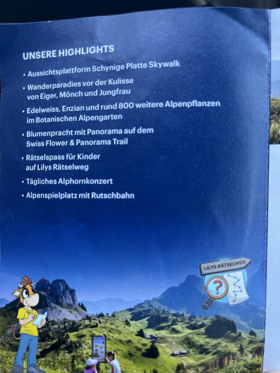 Gutscheine: Schynige Platte 30% Rabatt – Neu (gemäss Beschreibung) aus Madiswil von mutu30 1