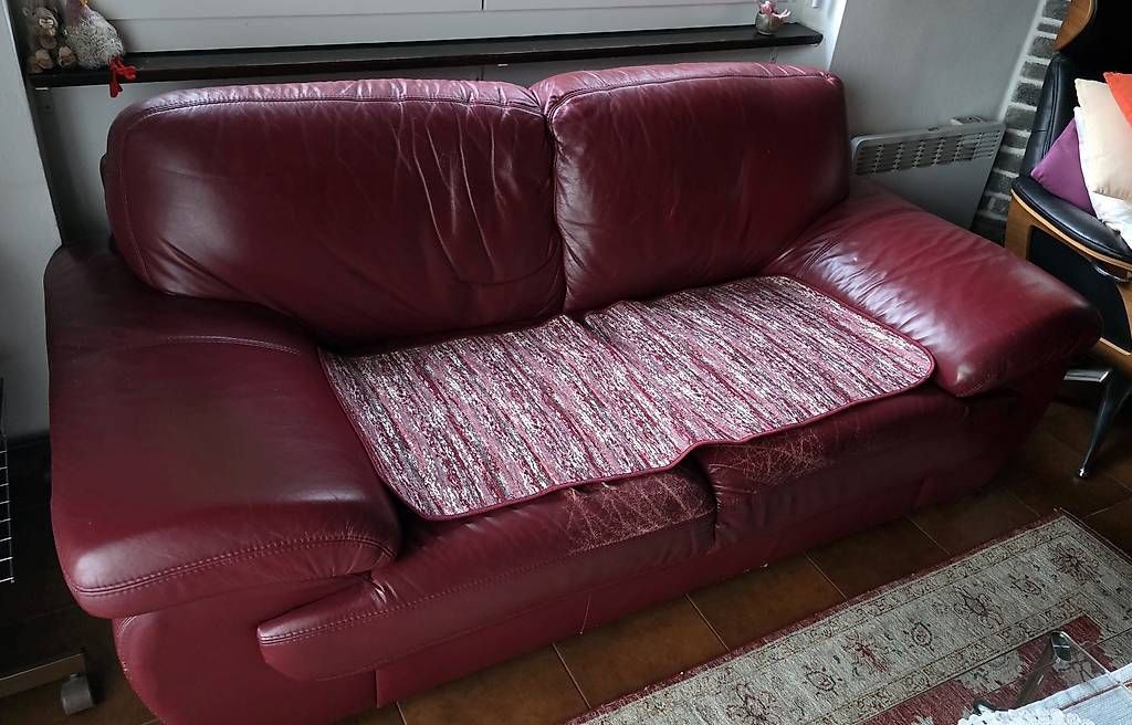 Sofas: Divano 2 posti in pelle bordeaux – Gebraucht aus Zürich von zonalba