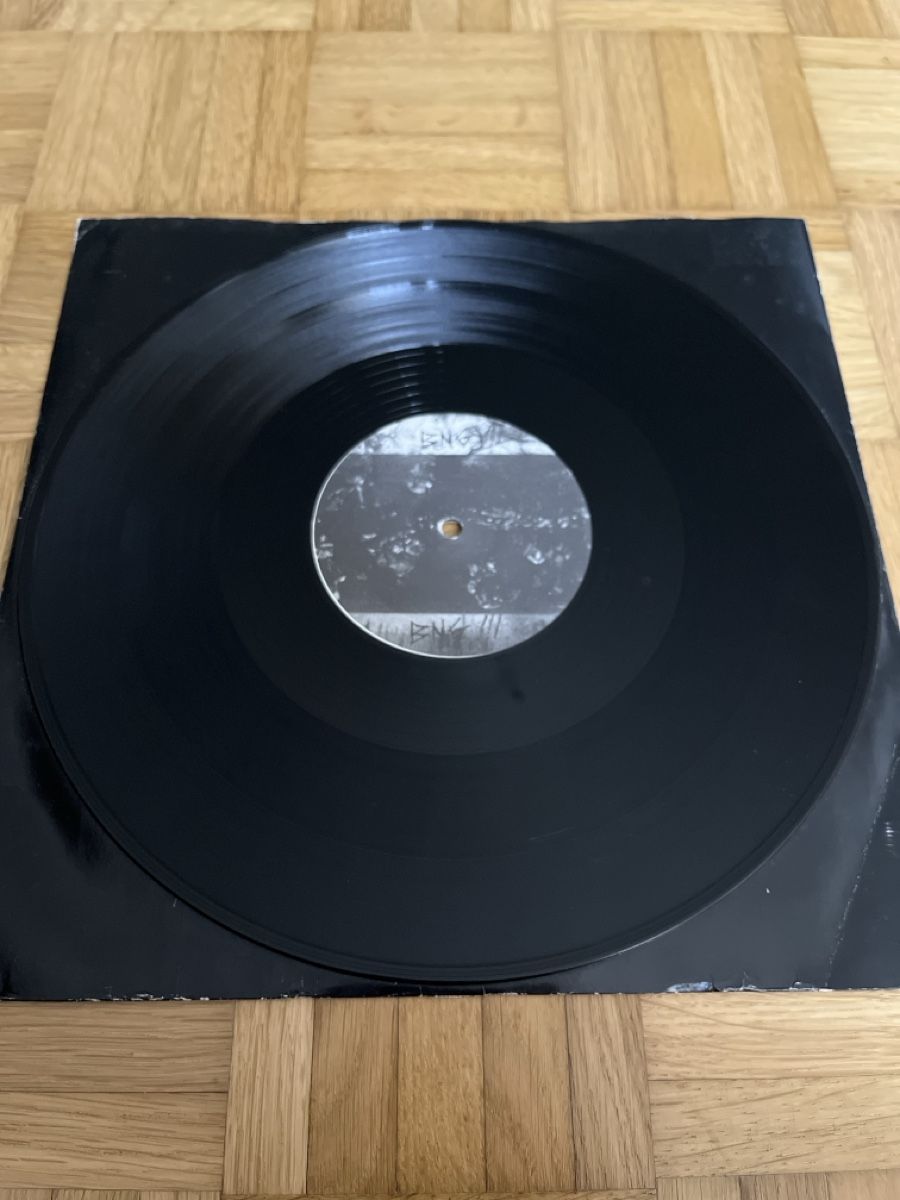 Dischi in vinile: Violent Aggression Hardcore / Speedcore Vinyl – Usato da Wangen b. Olten venduto da break72 3