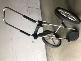 Golf - Caddy