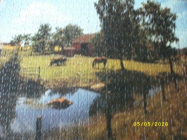 Ravensburger Puzzle: Ravensburger-Puzzle – Usato da Uetendorf venduto da ulmaza 1