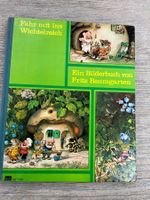 Fahr mit ins Wichtelreich Junior International Titel 1 1099