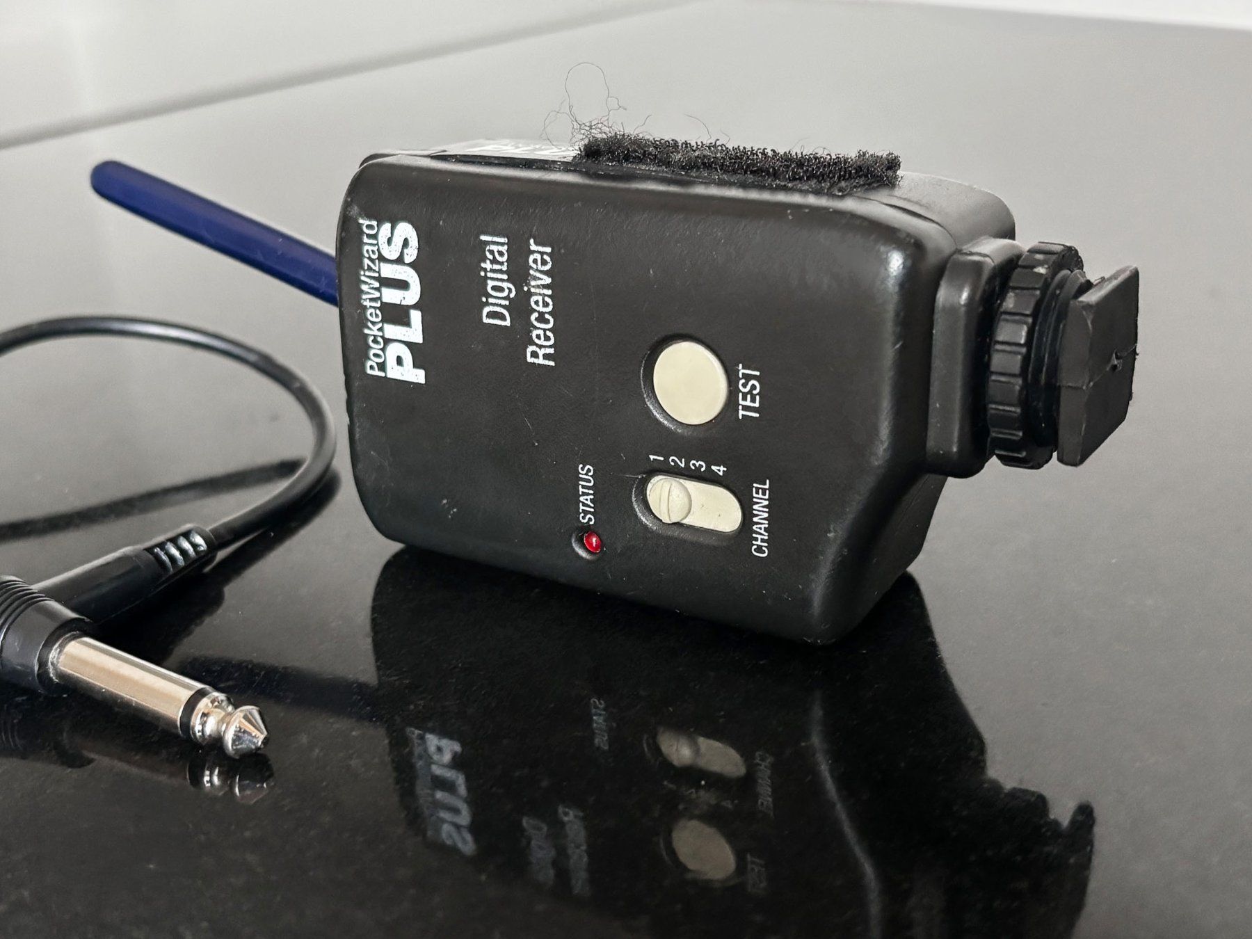 Flash: Pocketwizard Plus Transmitter – Usato da Zürich venduto da vitty