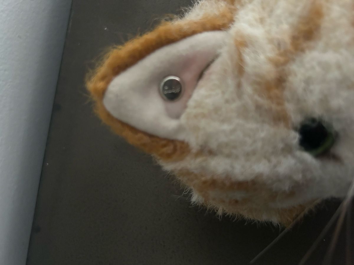 Steiff Jouets: 2 Steiff Tiere Katze und Bär  – D'occasion à Hochfelden par larson27 7