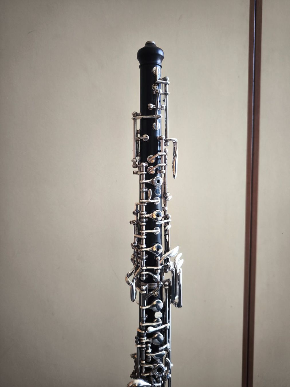 Yamaha Strumenti musicali: Oboe Yamaha YOB831L Duet+ – Usato da Zürich venduto da mar_8mgp