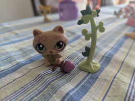 littlest pet shop waschbär mit Baum und Eichel