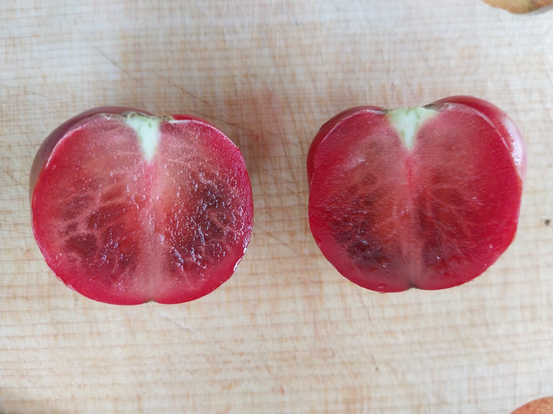 Piante & sementi: Samen Tomaten Microdwarf Groovy Tunes 10Stk. – Usato da Schwaderloch venduto da bademeister79 4