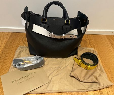 Burberry - The Medium Belt Bag (aus Leder)