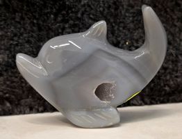 Achat Delfin H 38g