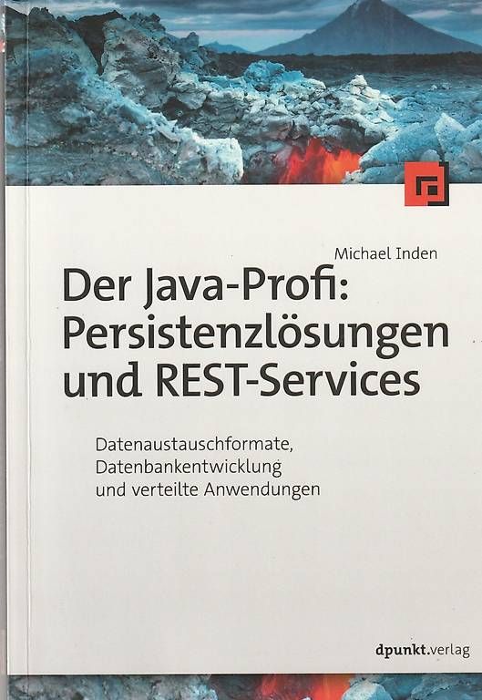 Libri: 5 IT-Bücher Java Spring Maven HTML CSS  Paket – Usato da Brunnen venduto da eli_9mtk 4