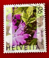 Nr.1074 Gemeines Flora,Immmergrün GESTEMPELT 2003    