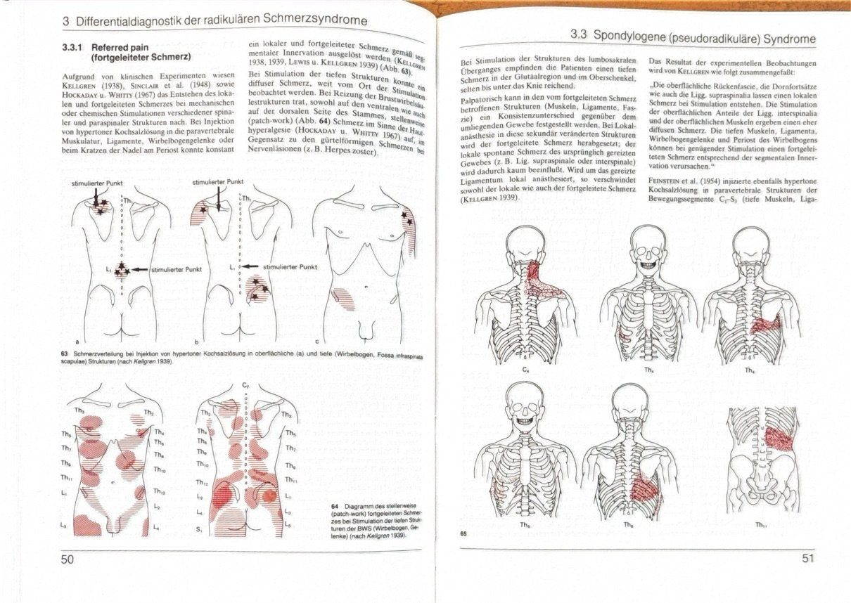 Libri: Dvorak Jiri, Manuelle Medizin - Diagnostik – Usato da Sarnen venduto da Livres 9
