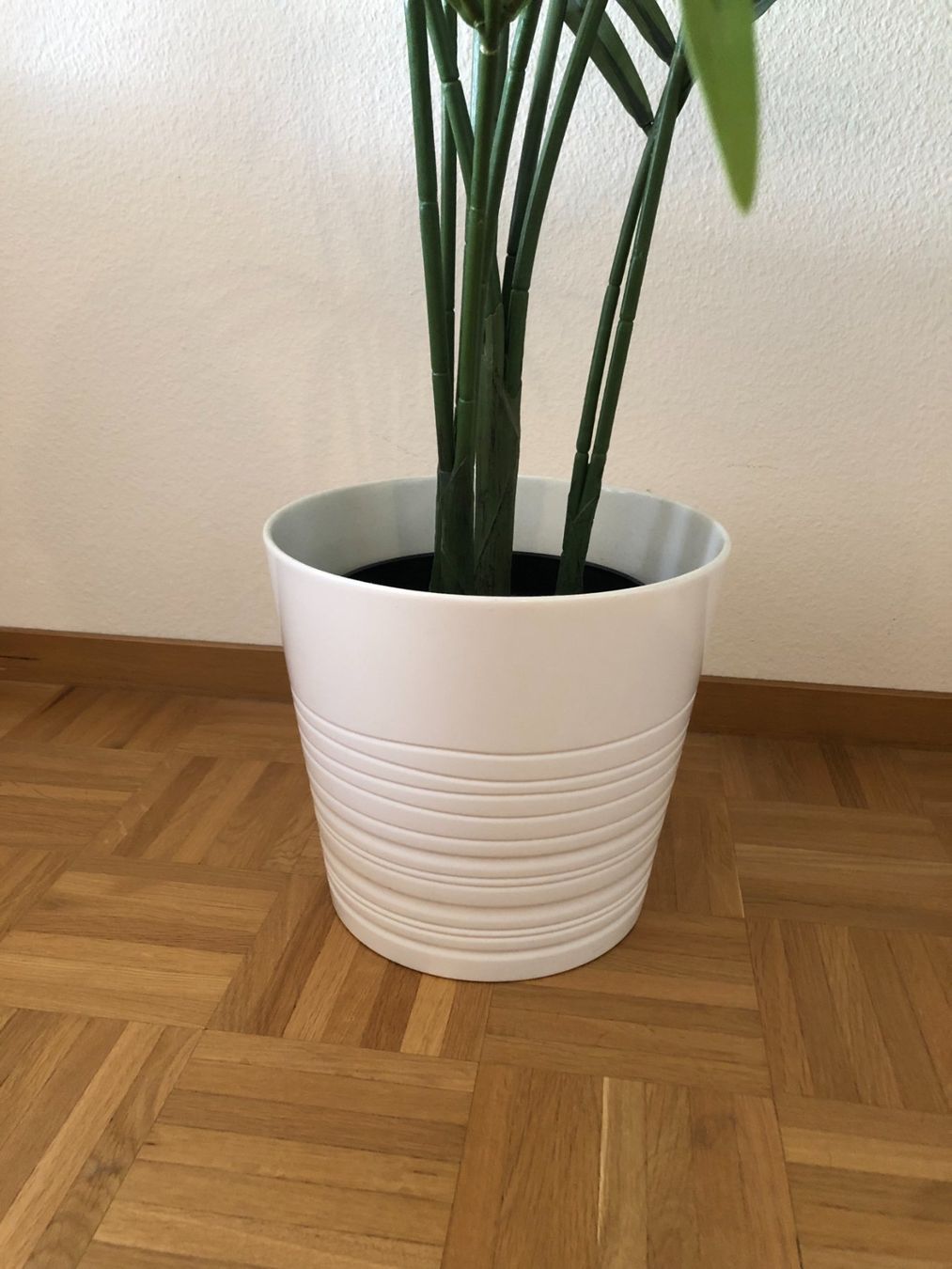 Plantes & graines: 3 Kunstpflanzen inkl. Töpfe IKEA – D'occasion à Zürich par moerday 3