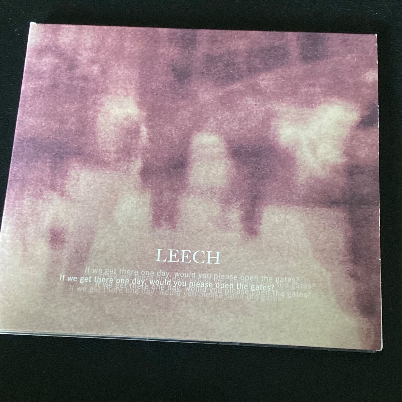 CD: Leech - If We Get There One Day, Would ... | Swiss Post Rock – Usato da Bern venduto da Ntsamina