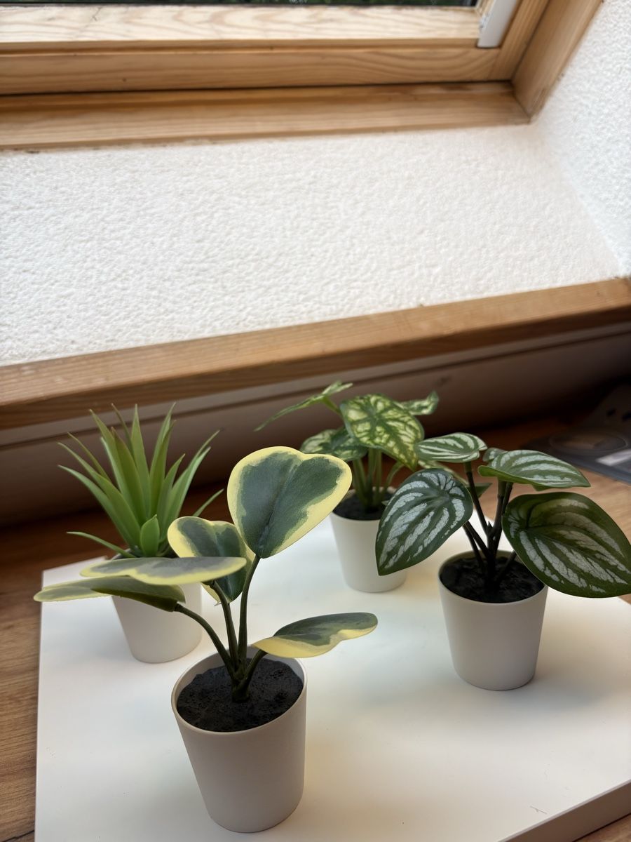 Alle Dekorationen: Lots de décorations  – Gebraucht aus Le Locle von Charlotte_122 9