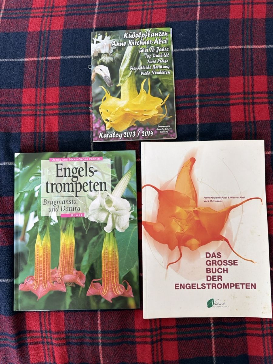 Libri: Bücher Set:Engels-trompeten: Brugmansia – Usato da Zürich venduto da d.reitzer