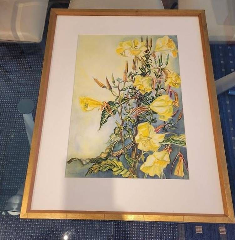 Dipinti: Aquarell Kundry "Echtgelb Hell" 69.5 x 52.5 – Usato da Neuhausen venduto da mar_ryh8