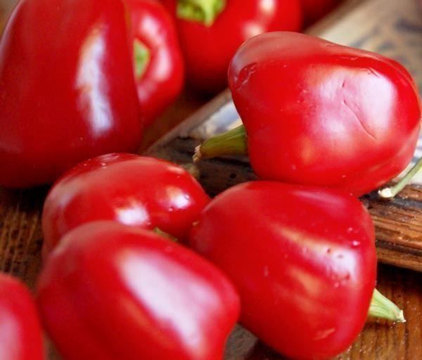 Piante & sementi: 50 Samen Paprika MINI BELL RED – Nuovo (secondo la descrizione) da Ehrendingen venduto da VerveinaSamen 3