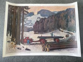 Schulwandbild No. 122 Hochwald und Holztransport 1964