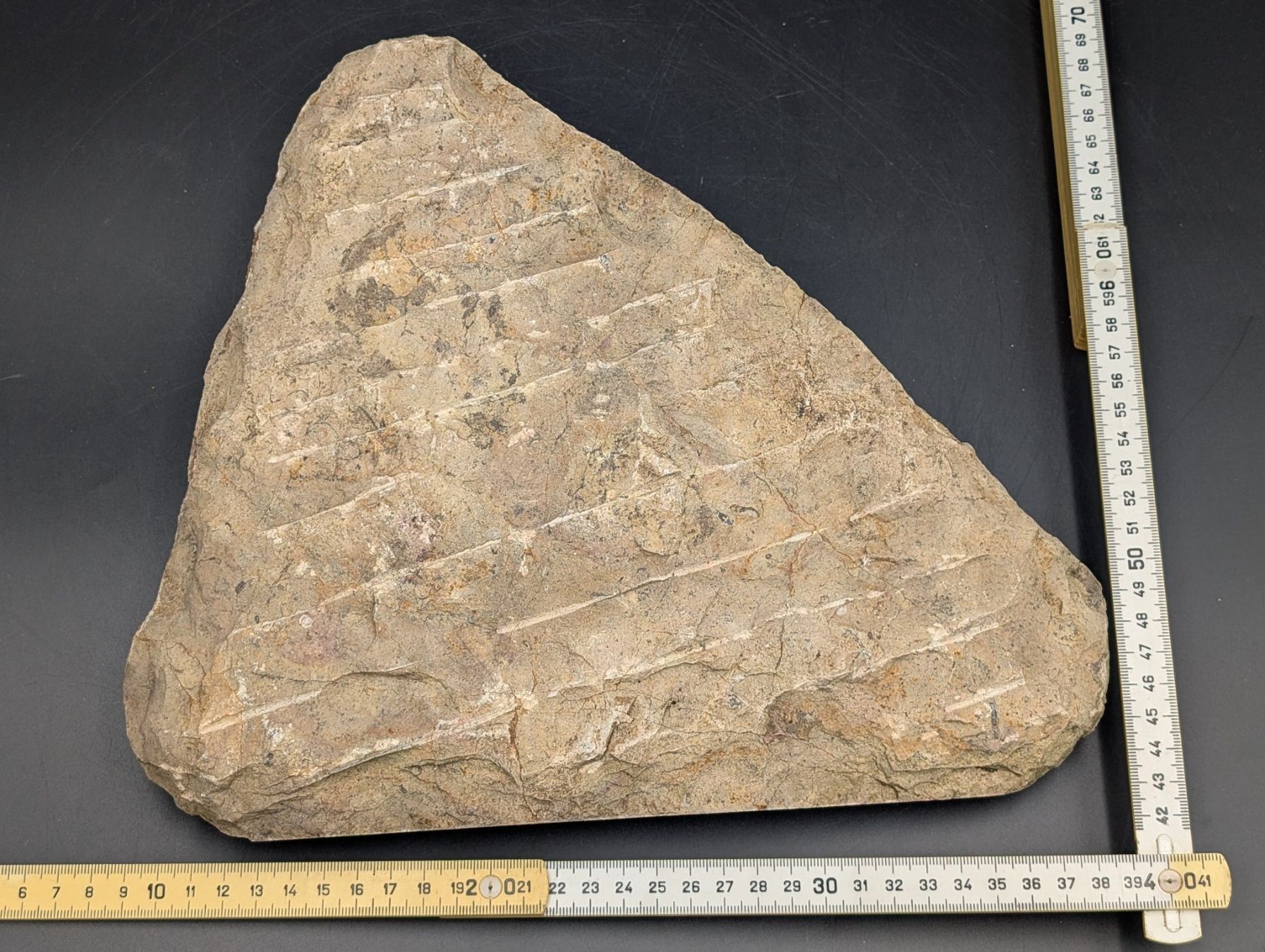 Fossili: Fossil Ammonit Belemnit? im Jura-Gestein? Versteinert – Usato da Winterthur venduto da Hint17 8