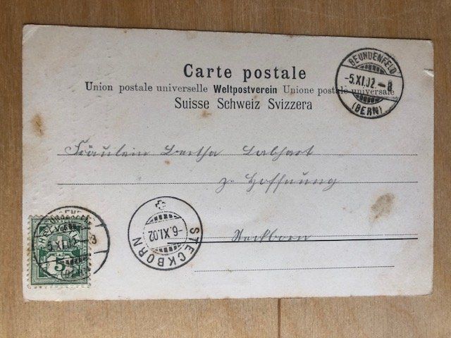 Ansichtskarten: Antike Postkarte, Bärenkarte, 1902 – Gebraucht aus Basel von sar_9jj8 1